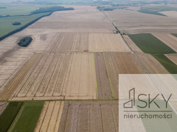 Działka Sprzedaż Kietrz