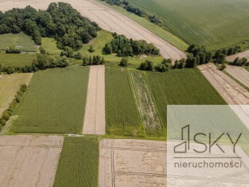 Działka Sprzedaż Kietrz
