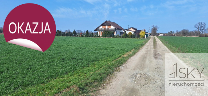 Działka Sprzedaż Miodary 2