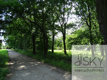 Działka Sprzedaż Zajączków