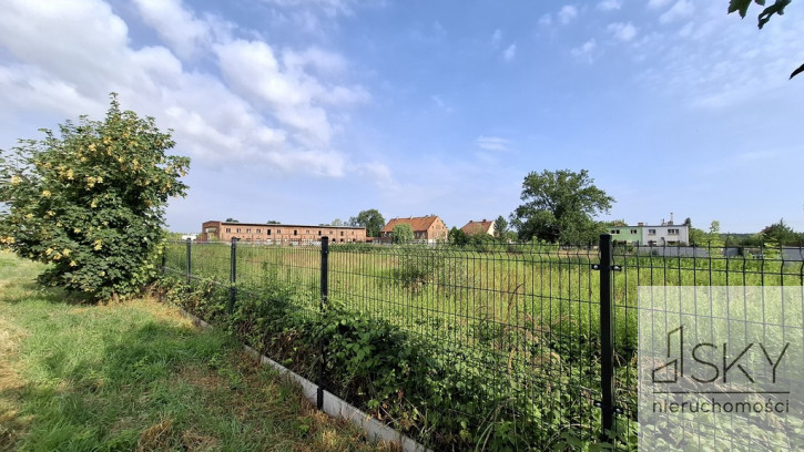 Działka Wynajem Błonie Wrocławska 2
