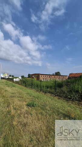 Działka Wynajem Błonie Wrocławska 4