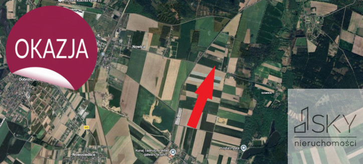 Działka Sprzedaż Miodary 4