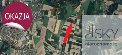 Działka Sprzedaż Miodary