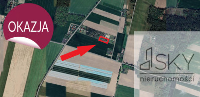 Działka Sprzedaż Miodary