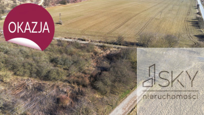 Działka Sprzedaż Wysoki Kościół &nbsp;arkowa