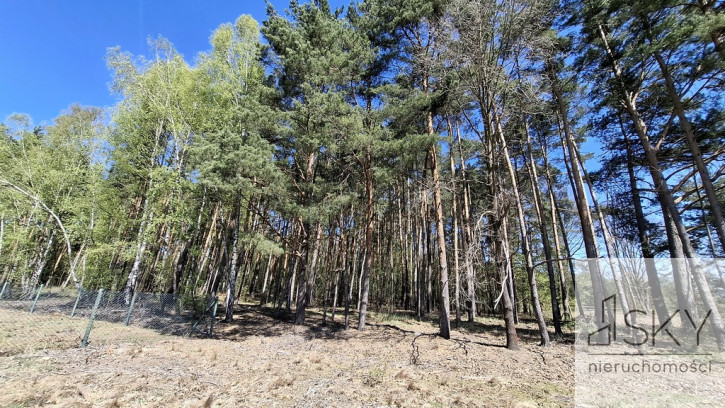 Działka Sprzedaż Drogoszowice 1