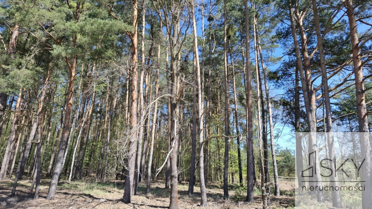 Działka Sprzedaż Drogoszowice 3