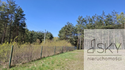 Działka Sprzedaż Drogoszowice