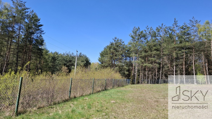 Działka Sprzedaż Drogoszowice 6