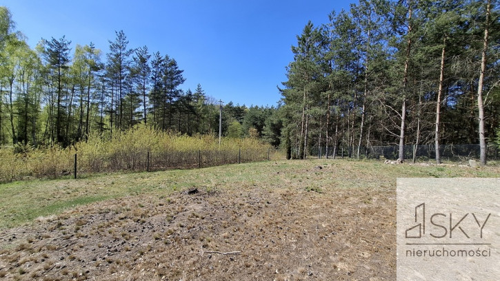Działka Sprzedaż Drogoszowice 12
