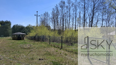 Działka Sprzedaż Drogoszowice