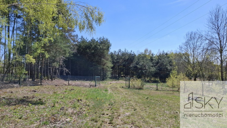 Działka Sprzedaż Drogoszowice 18
