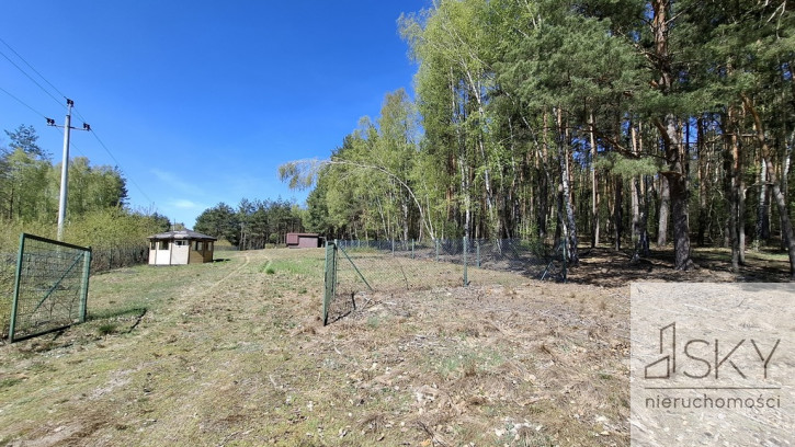 Działka Sprzedaż Drogoszowice 19