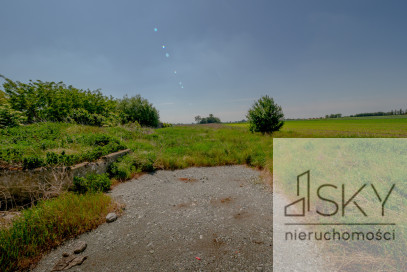 Działka Sprzedaż Ozorzyce Czereśniowa
