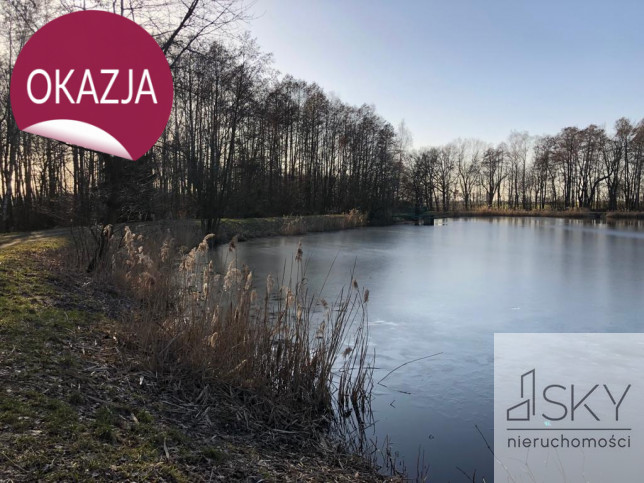 Działka Sprzedaż Miodary 10