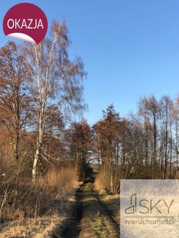 Działka Sprzedaż Miodary 11