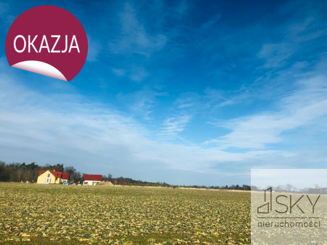 Działka Sprzedaż Miodary 9