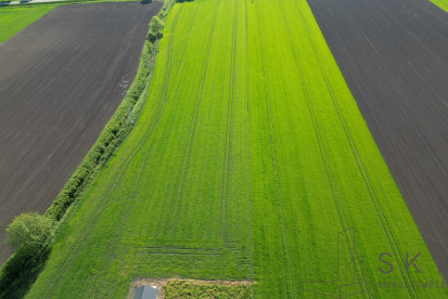 Działka Sprzedaż Żerniki Wrocławskie Dębowa